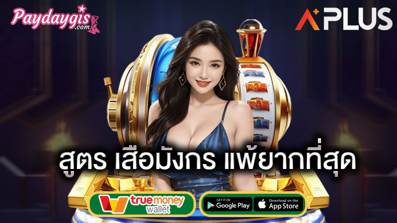AESEXY เว็บหลัก เกมไพ่เสือมังกร